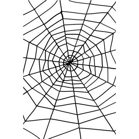 SMIFFYS - Halloweenspinnenweb - Decoratie > Decoratie beeldjes